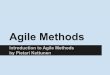 Agile Methods - scg.unibe.ch