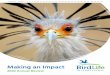Making an Impact - birdlife.org