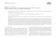 Pilot Acute Safety Evaluation of Innocell Cancer 