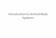 Introduction to Animal Body Systems - whs.rocklinusd.org