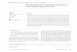 The Employment Footprints of Nations - content.csbs.utah.edu