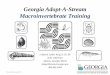 Georgia Adopt-A-Stream Macroinvertebrate Training