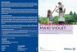 Final V1.5 Brochure Maxi Violet - Allianz