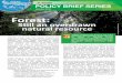 Policy Brief Forest FINAL