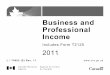 Business and Professional Income