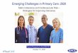 Emerging Challenges in Primary Care: 2020