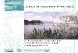 Stormwater Ponds: A Citizen’s Guide to Their Purpose and 