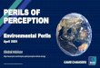 PERILS OF PERCEPTION - Ipsos