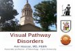 Visual Pathway Disorders