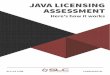 JAVA LICENSING ASSESSMENT - Oracle Licensing Experts