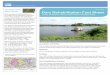 The Watershed Short Story: Dam Rehabilitation Fact Sheet