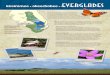 Everglades Explained - | South Florida Water Management 