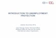 INTRODUCTION TO UNEMPLOYMENT PROTECTION