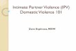 IPV/Domestic Violence 101