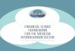FINANCIAL FLOWS FRAMEWORK FOR THE MEXICAN …