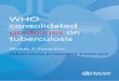 companion handbook consolidated guidelines on tuberculosis