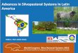Advances in Silvopastoral Systems in Latin America