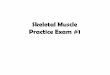 Skeletal Muscle Practice Exam #1