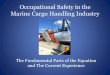 Occupational Safety in the Marine Cargo Handling Industry