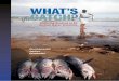 Reducing Bycatch in EU Distant Water Fisheries