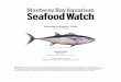 Southern Bluefin Tuna - Ocean Wise