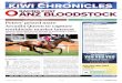 KIWI CHRONICLES - ANZ Bloodstock News