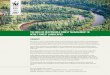 THE ROLE OF RESPONSIBLE FOREST MANAGEMENT IN …