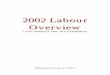 2002 Labour Overview - International Labour Organization
