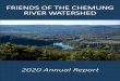 Friends of the Chemung River Watershed