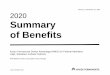 2020 Summary of Benefits Kaiser Permanente Senior 