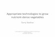 Growing nutrient-dense vegetables - Weebly