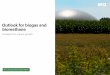 Outlook for biogas and biomethane - .NET Framework