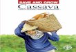 Save and grow: Cassava - Food and Agriculture Organization