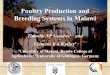 The State of Poultry Production and Breeding Systems in Malawi