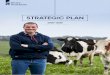 STRATEGIC PLAN - Dairy Australia