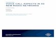 Application Note VOICE CALL ASPECTS IN 5G NEW RADIO …