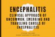 Encephalitis Clinical approach of uncommon, emerging and 