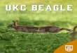 OCTOBER 2021 UKC BEAGLE - ukcdogs.com