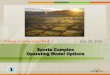 Sports Complex Operating Model Options - Granicus