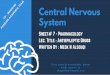 Central Nervous - static.s123-cdn-static-c.com