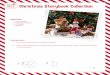 Christmas Storybook Collection - media.elfontheshelf.com