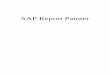 SAP Report Painter - ERPDB