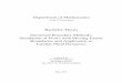 Bachelor-Thesis Immersed Boundary Methods: Simulation of 
