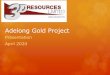 Adelong Gold Project