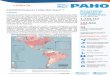PAHO/WHO Response. 11 May 2020. Report 7 Brazil SITUATION 