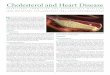 Cholesterol and Heart Disease - WordPress.com