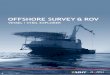 OFFSHORE SURVEY & ROV - Reach Subsea