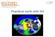 Practical work with G4 - LIP