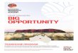 BIG OPPORTUNITY - Voyages