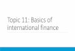 Topic 11: Basics of international finance